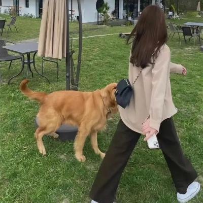 危险性追缉